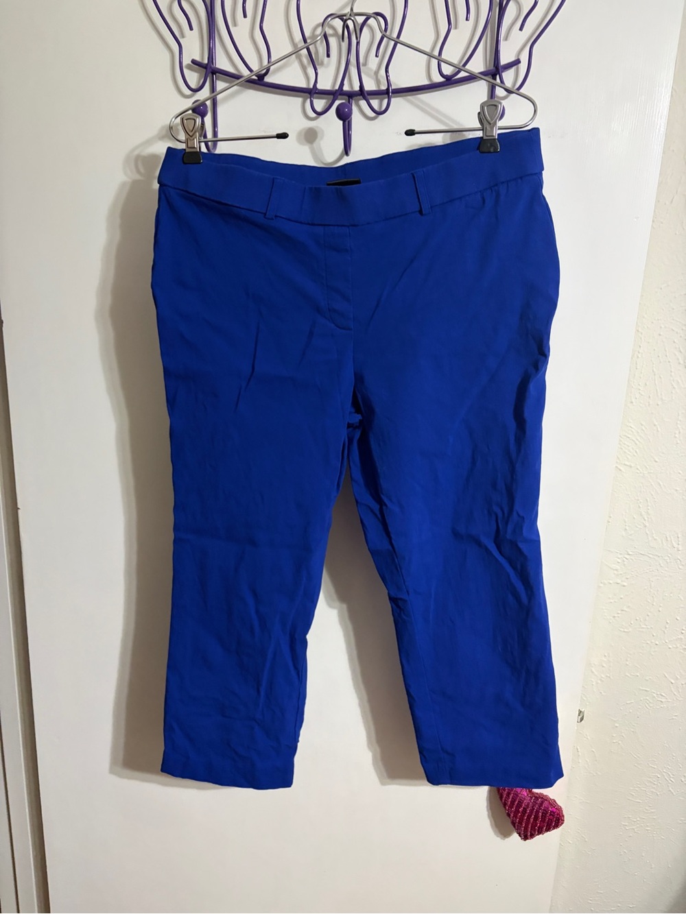💜 12 Rafaella Cropped Pull on Pants Pants - Electric Blue